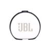  Loa Bluetooth JBL Horizon 2 