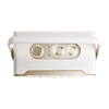  Loa Bluetooth JBL Authentics 300 