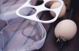 Hộp đựng trứng chống sốc dành cho dã ngoại cắm trại 