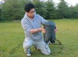  Túi ngủ du lịch ngoài trời cao cấp Flytop, túi ngủ văn phòng 
