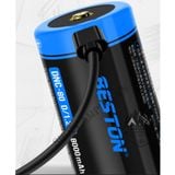  Pin D sạc cỡ đại Beston DNC-80 1.2v 8000mAh cổng sạc USB Type-C 