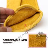  Găng tay da chịu nhiệt dữ ấm dành cho cắm trại leo núi 