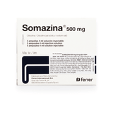 Somazina 500mg (H/5 ống)