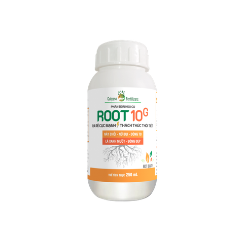  ROOT10G (siêu ra rễ) 