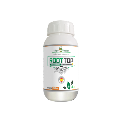  ROOTTOP (Siêu Ra Rễ) 