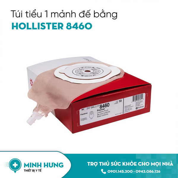 Túi Tiểu 1 Mảnh Đế Bằng Hollister 8460