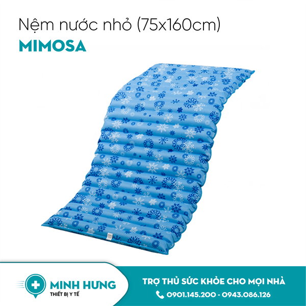 Nệm Nước Mimosa (Lớn)