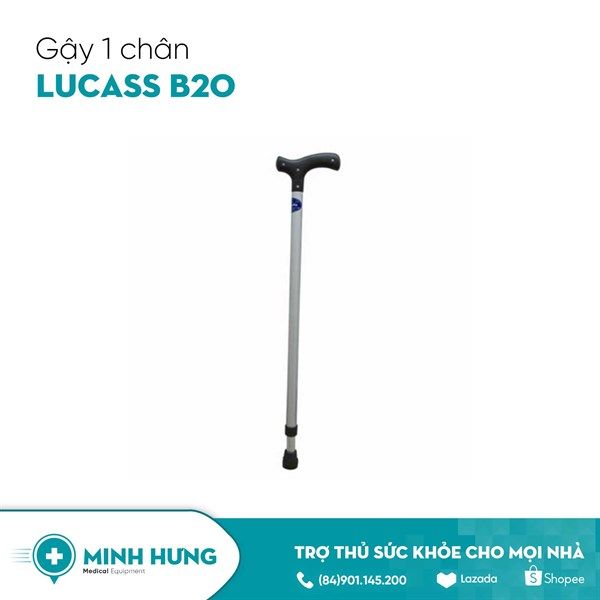 Gậy 1 chân Lucass B20