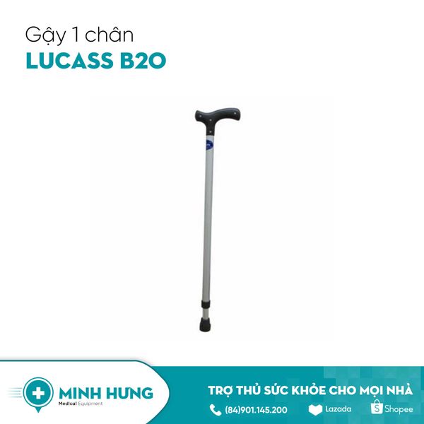 Gậy 1 Chân Lucass Y590