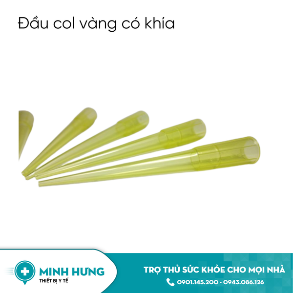Đầu Col Vàng Có Khía