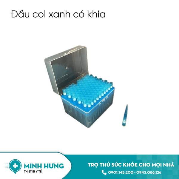 Đầu Col Xanh Có Khía