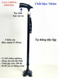 Gậy Chống GBM-024