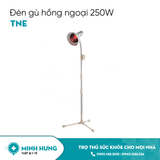 Đèn Gù Hồng Ngoại 250W (Đế Thường)