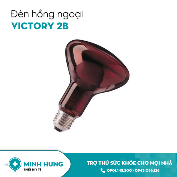Bóng đèn hồng ngoại Victory 2B(100W )