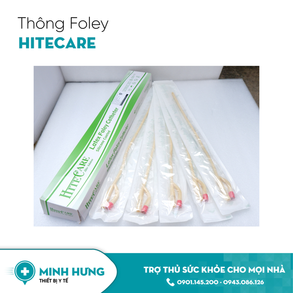 Thông Foley Hitecare (10)