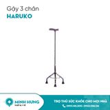 Gậy 3 Chân Inox Haruko