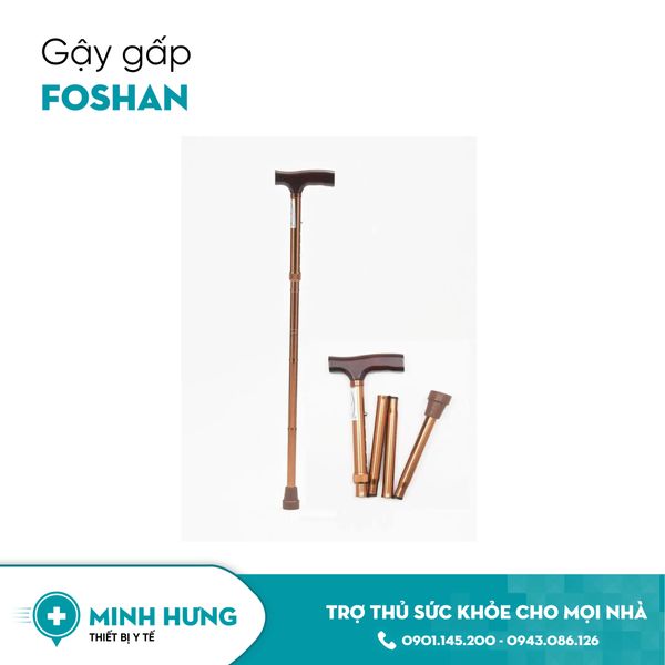 Gậy 1 Chân Gấp Foshan
