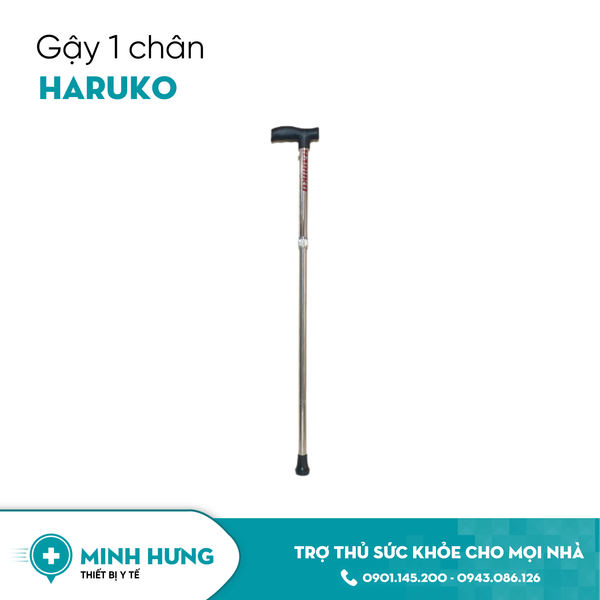 Gậy 1 Chân Inox Haruko