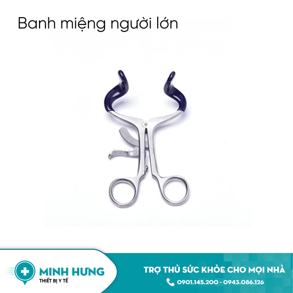 Banh Miệng Người Lớn