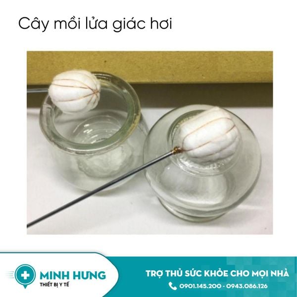 Cây Mồi Lửa Giác Hơi