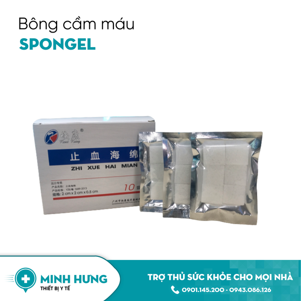 Bông Cầm Máu