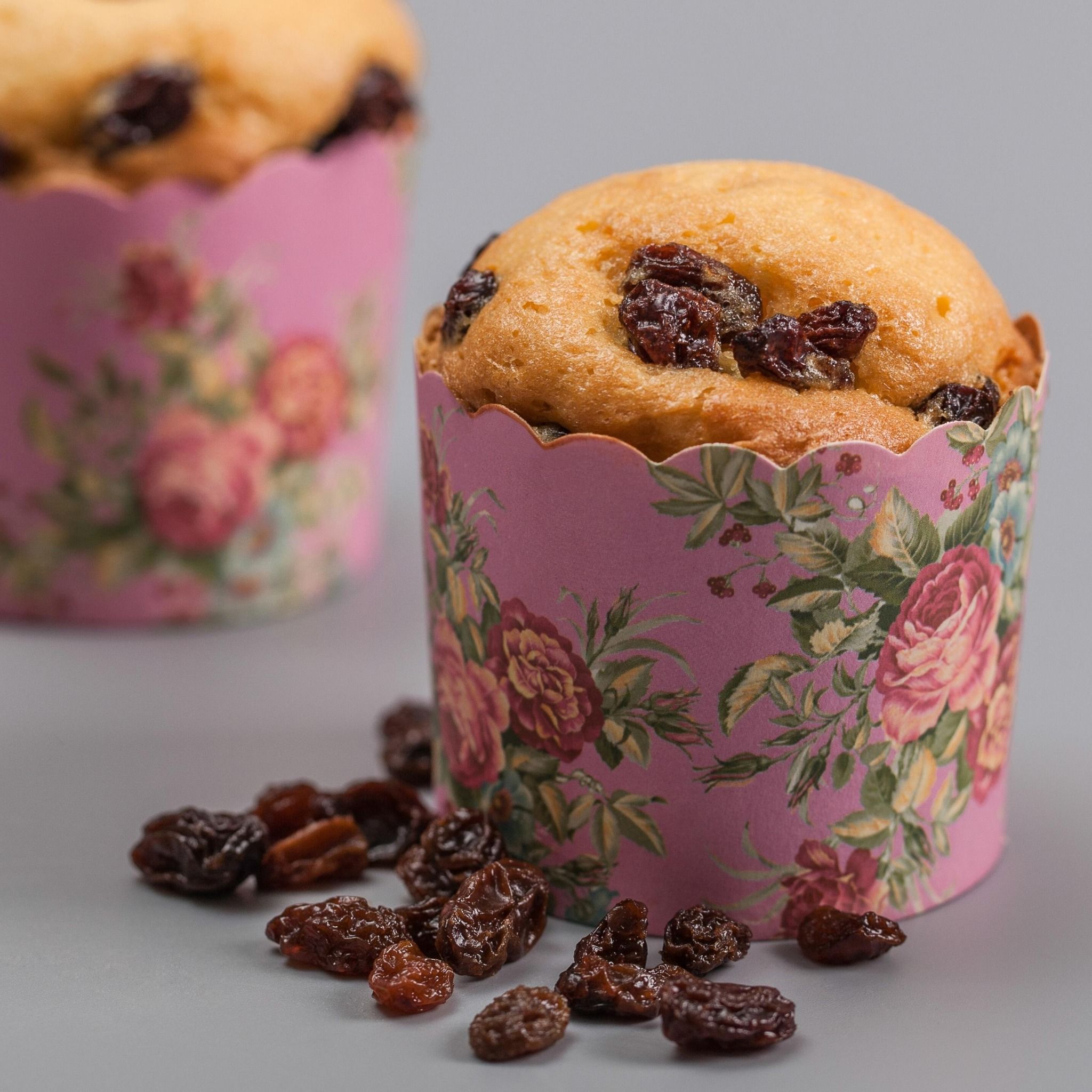 Bánh muffin vani nho đen