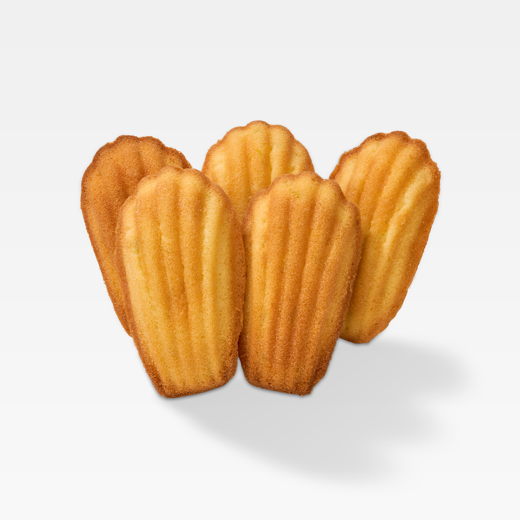 Bánh madeleine