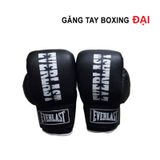  Găng Boxing Everlast Trung 