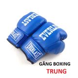 Găng Boxing Everlast Trung 