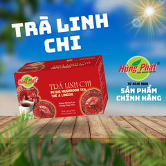 Trà Linh Chi - Reishi Mushroom Tea