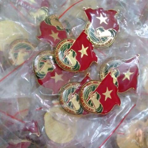  Huy hiệu Đoàn Thanh niên Việt Nam 