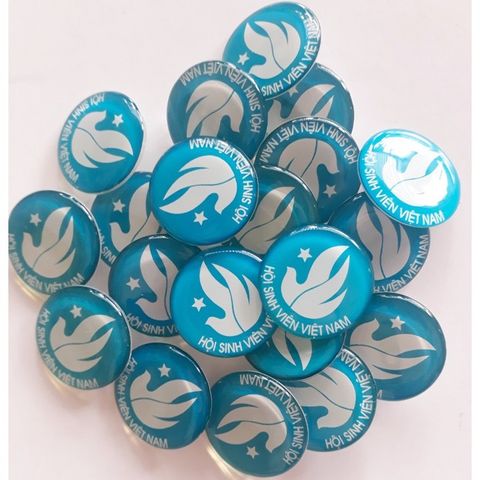  Huy hiệu Hội Sinh viên Việt Nam 