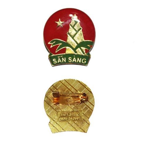  Huy hiệu Hội Đồng đội 