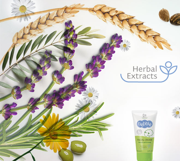  Kem dưỡng ẩm Bebble Facial Cream 50ml 