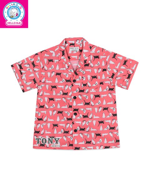  Áo sơ mi cổ đan tông tay ngắn SM1589 - Tony Boys 