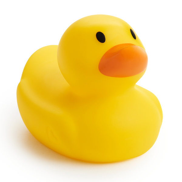  Vịt vàng báo nóng Munchkin 