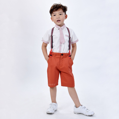  Set caravat 2609 