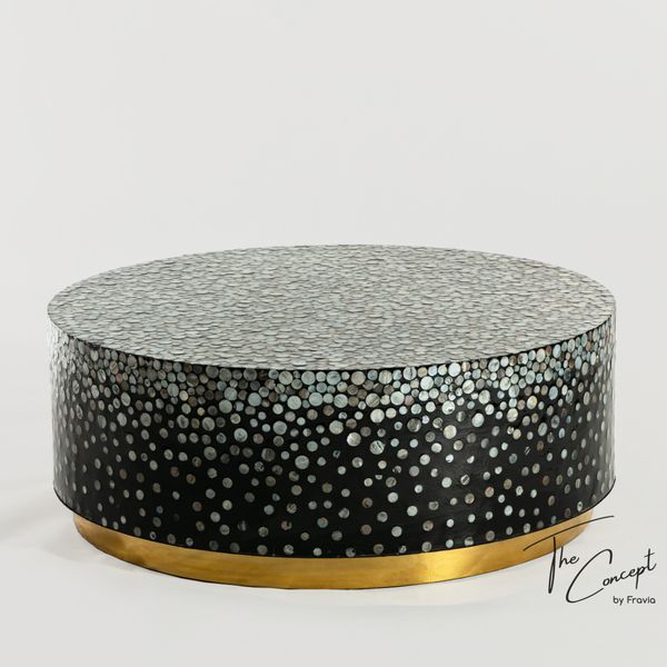  Moon Snowflakes Mother-of-Pearl Shell Mosaic Coffee Table - Inox Table Base 