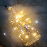  Dây đèn led đom đóm, đèn fairylight dài 1m 10 bóng và dài 2m 20 bóng dùng pin và USB 