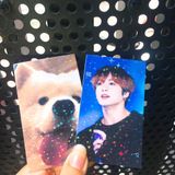  50-200 card bo góc in theo yêu cầu cán hologram 