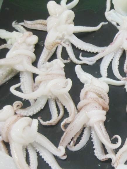  Đầu mực 250g 