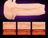  Máy bú cu tự động đa chức năng Dibe Nhật Bản có đế gắn tường 