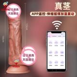  Dương vật giả gắn tường rung thụt ngoáy điều khiển điện thoại 