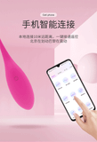 Trứng rung Levett điều khiển từ xa bằng app điện thoại 