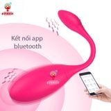  Trứng rung Levett điều khiển từ xa bằng app điện thoại 