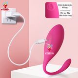 Trứng rung Levett điều khiển từ xa bằng remote 