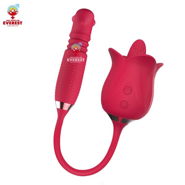  Trứng rung xoay thụt đầu bi kèm lưỡi rung hoa hồng thế hệ 2 