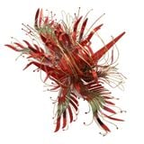  Mô Hình Kim Loại 3D Lắp Ráp Piececool Thiên Ngữ Hạc Hoa Huệ (38 mảnh, Glory Lily) HP205-RG - MP1117 