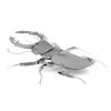 Mô Hình Kim Loại Lắp Ráp 3D Metal Head Bọ Vừng Stag Beetle – MP059