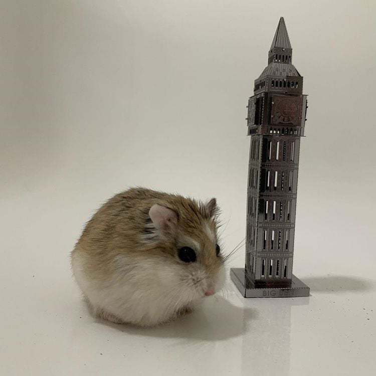  Mô Hình Kim Loại Lắp Ráp 3D Metal Mosaic Tháp Đồng Hồ Bigben (35 mảnh) – MP695 